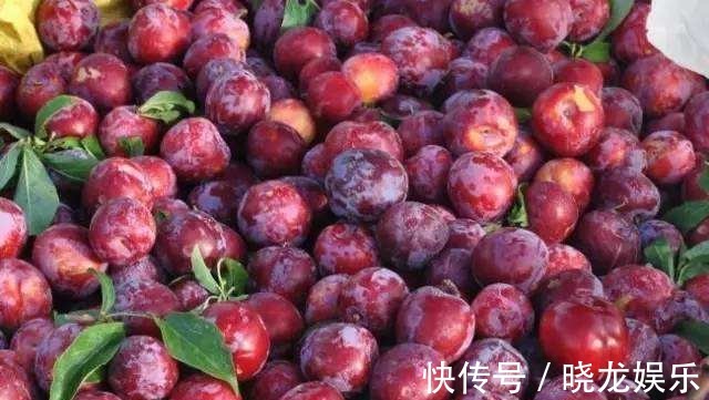 柑橘|女性养生,多吃的食物,排出湿气,健胃消食,预防子宫早衰