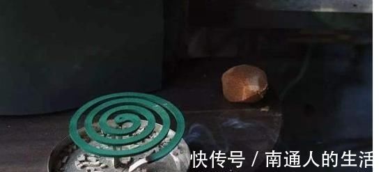 石灰|生活中常见的4种“灰”,拿来养花效果好,虫子不见、花草旺盛