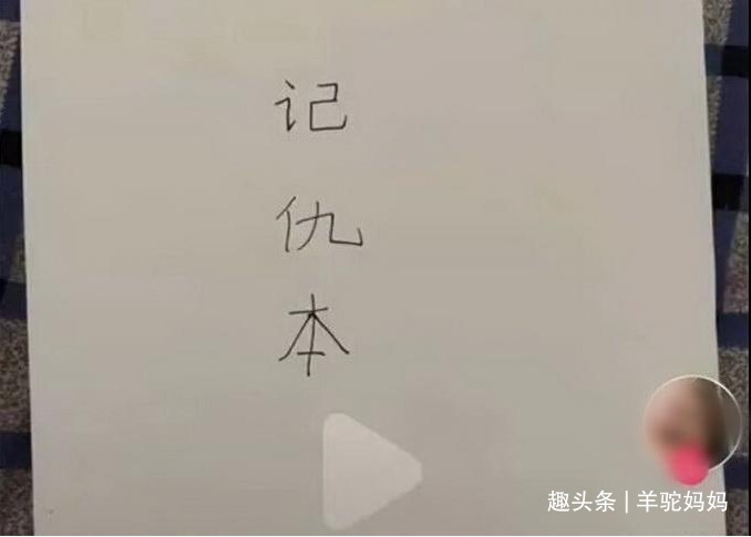二胎家庭|姐姐晒弟弟记仇本走红,每页都用“我忍了”结尾笑翻众人,太可爱