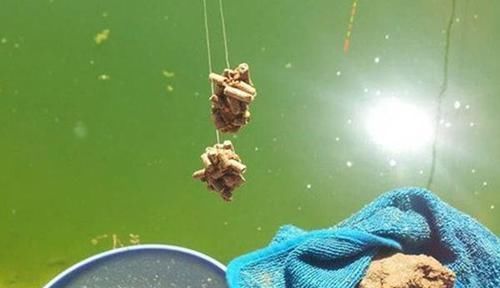 钓法|钓鱼技巧:麻团钓法操作要领和调漂技巧,钓鱼人的必修课!