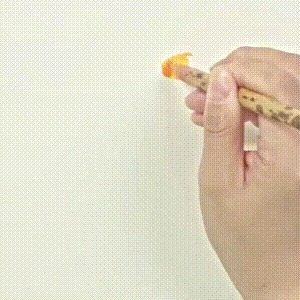 示范&用没骨技法画胡萝卜和鸢尾花,这样的示范案例领你入门