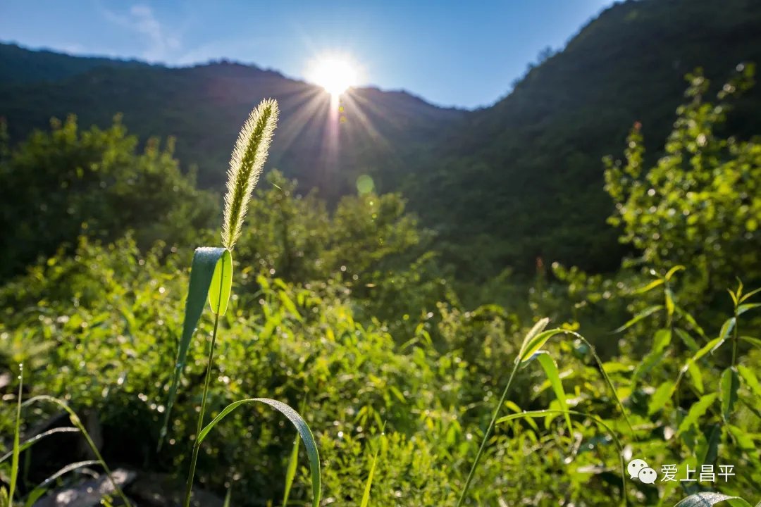 流村镇|1.5h抵达！5个原生态徒步地，迷人秋色畅游赏景！