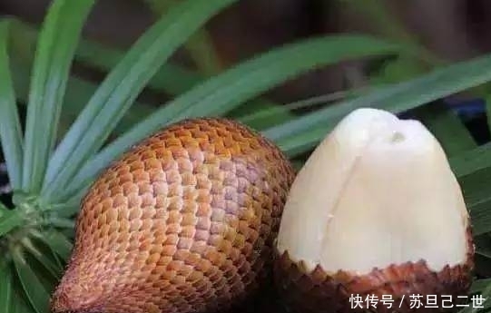 火天桃|世界上最罕见的15种水果, 你们吃过几种呢?