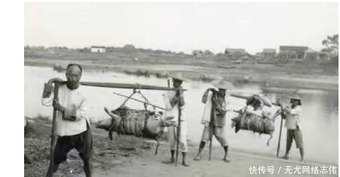 五官|民国老照片：女子五官精致远胜现代女星，图7为何要挑猪去河边？