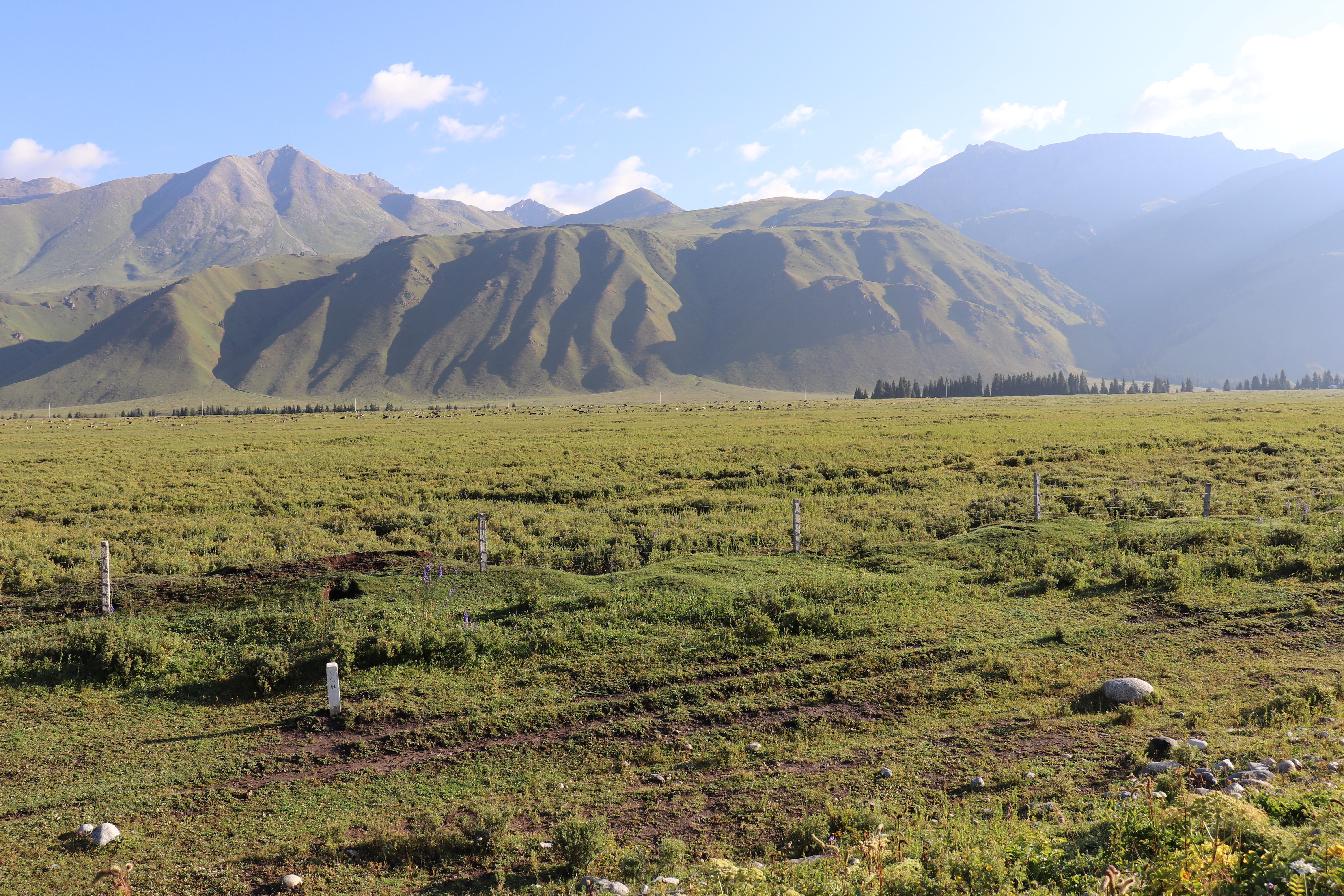 自驾独库公路，饱览天山风情