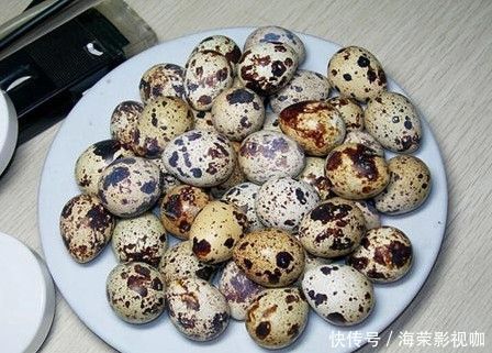 牛肝菌科|女性不想生病,3种食物多吃点,补肾活血,祛皱润肤,利于健康