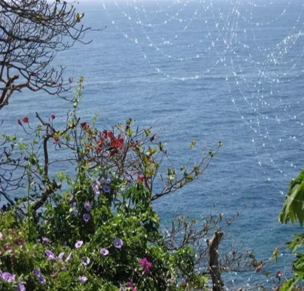 曾国藩诗10首:倚天照海花无数,流水高山心自知