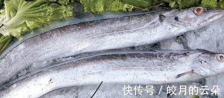 段儿|买带鱼,牢记“4买4不买”,条条肉嫩饱满,鱼腥味儿小,好吃新鲜!