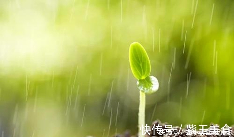 千门万户曈曈日！等闲识得东风面，万紫千红总是春。千古名诗12句请你来评