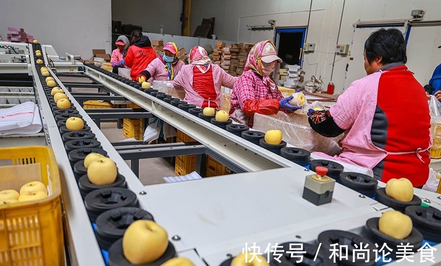 果农们|新鲜苹果成电商市场热宠