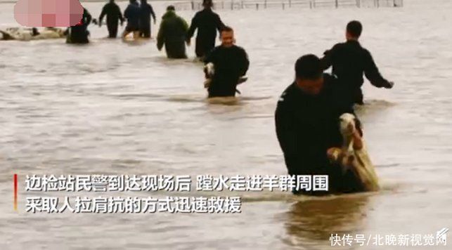 救援|山洪致1000多只羊被困！民警“涮羊肉”式救援