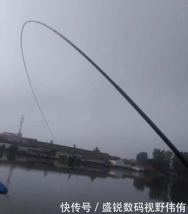 夏季如何垂钓白鲢鱼？掌握这几个要素，让你鱼获满满