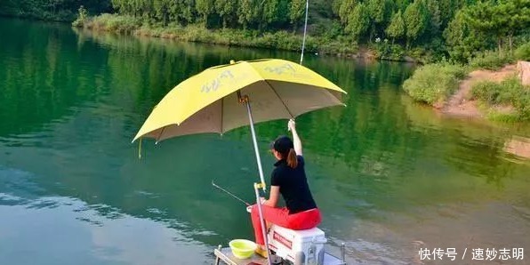春钓浅滩?非也?老司机倾囊相授:这几个地方或许更藏鱼,莫不信