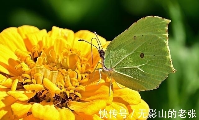 良缘|1天后，桃花绽放，为情所困，天赐良缘，时来运转，再次续写缘分