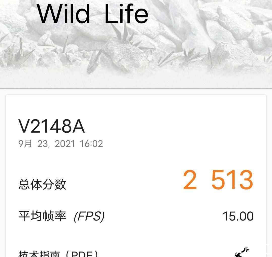 pdd|比骁龙888Plus还快?iQOOZ5闪存性能测速破纪录了