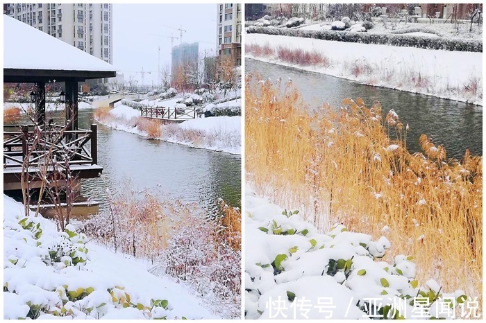 社政|鲁商蓝岸新城--之青岛市高新区别墅小区篇