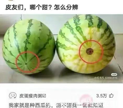 |神评段子合集:月老给你绑的钢丝,都被你用老虎钳剪断哈哈哈