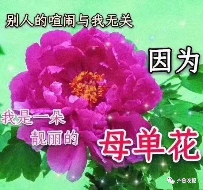 青蛙|去年“孤寡青蛙”,今年“七夕牡丹”!有人连续两年收到,过程太魔性了