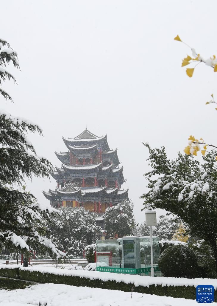 平凉市|雪落甘肃