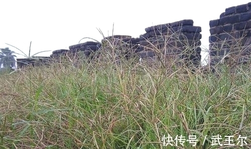 七律#刘长卿水平高超的七律,采用反跌手法,细腻生动,不愧为中唐才子