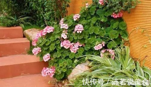 郁金香|7个绝美花园，个个美炸了天，等有钱了我也要建一个