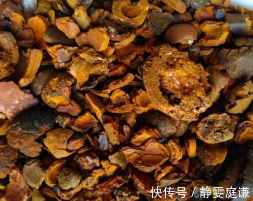 价值|一味产于农村很稀有的中药,可遇不可求,价值堪比黄金