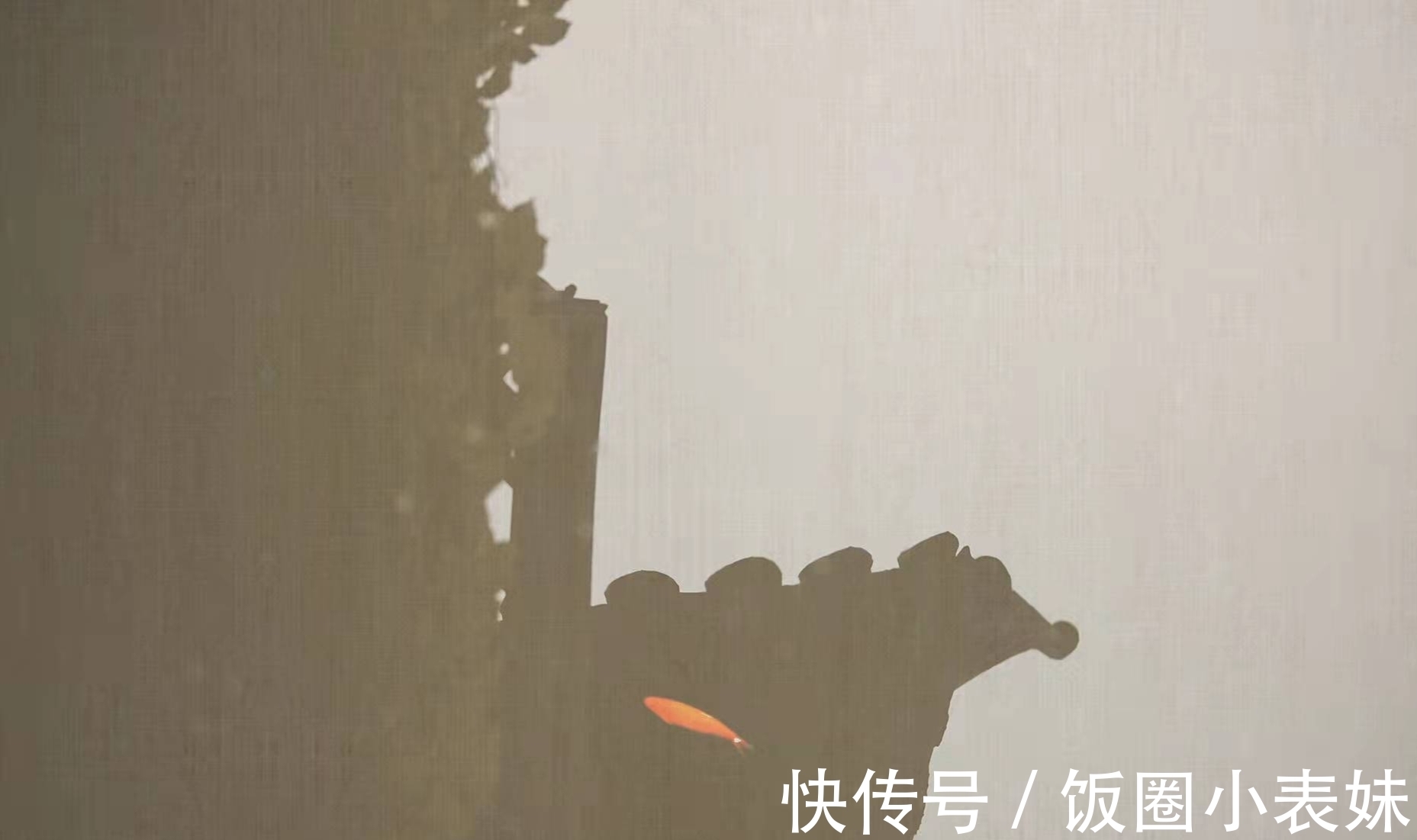 夜来南风起!细品白居易之诗:口语诗歌虽直白,朗朗上口意蕴长