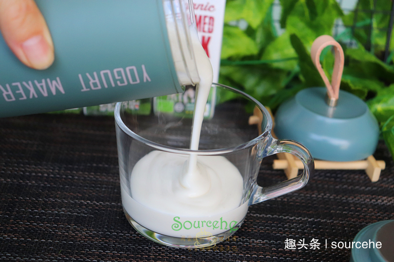 酸奶别再买，自己做只需要2种食材，简单又实惠，每天不同口味