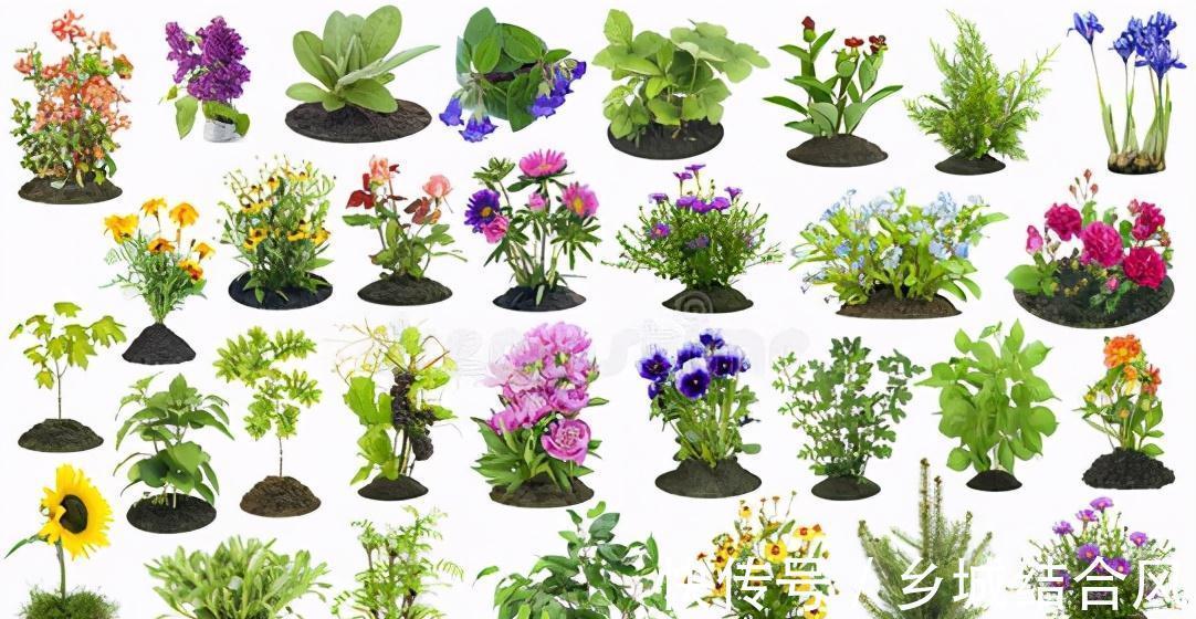 养花新手必看,养花肥料别多买,全植物通用性就好