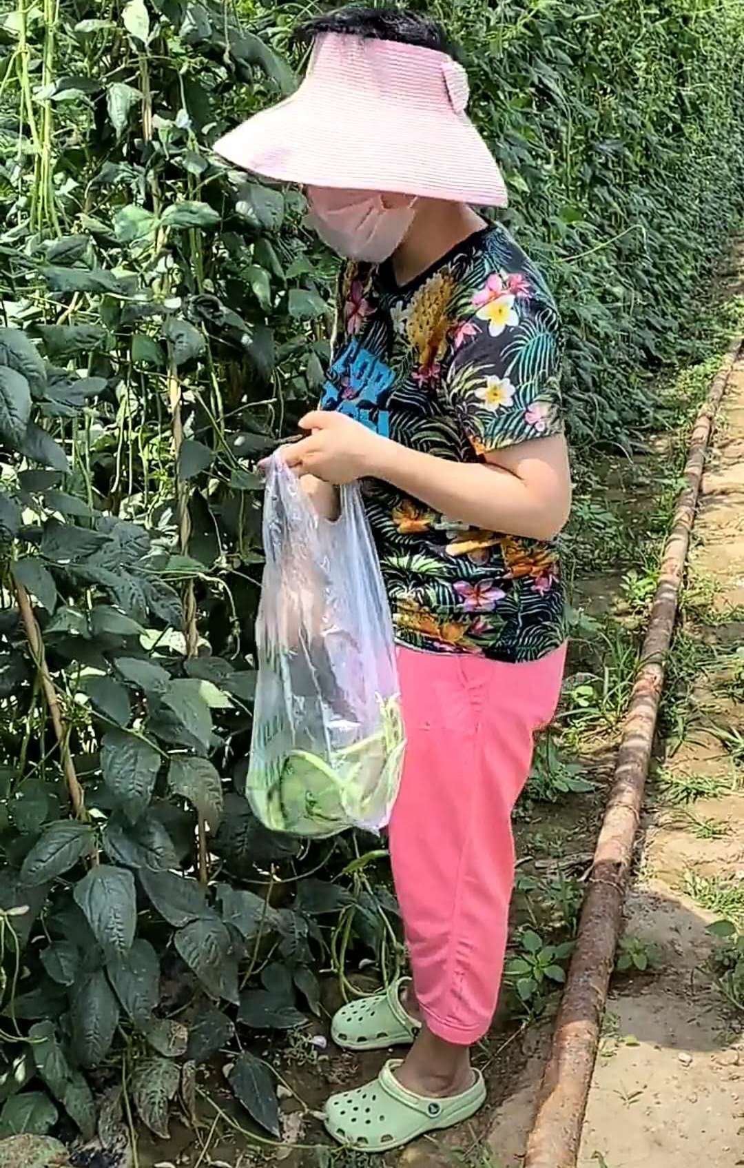 鸡爪|47岁邓亚萍太能吃,晚餐啃猪蹄和鸡爪,饭碗如“盆”一般大