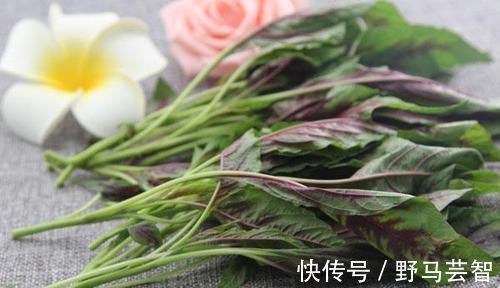 肠胃|便秘的“死对头”被发现，经常吃一点，肠道通了，便秘也不来扰