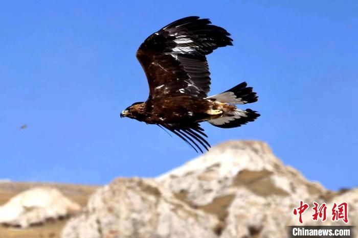 执法|三江源国家公园黄河源园区开展2022年度首次巡护：野生动物频亮相
