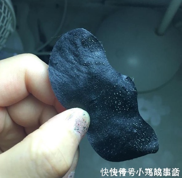 水乳|先别慌着挤黑头,这3种原因你知道了再挤也不迟