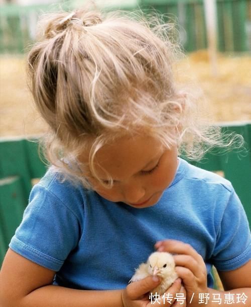 小男孩|男童目睹家长两次虐猫,从极力阻止到助纣为虐,短时间内性情大变