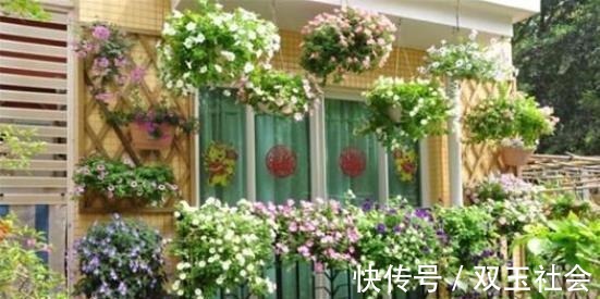 同样是在阳台养花,为什么别人养的那么好,我却养一盆死一盆