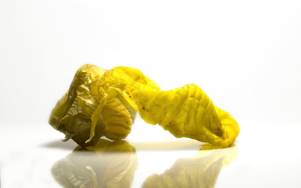 大米粥|脾胃虚弱?医生:教您一道制作简单的养生粥,常喝脾胃舒适健康