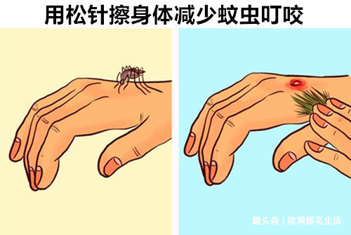 在千钧一发的危急时刻,可以拯救你生命的10个生存技巧