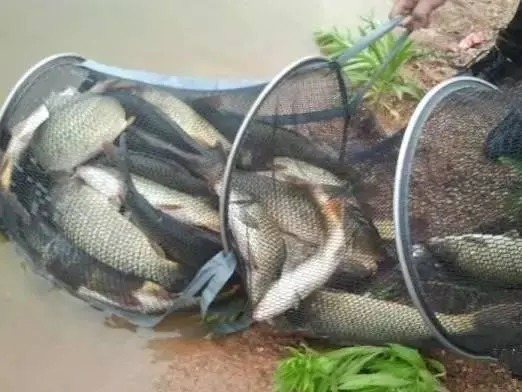 钓位细节没做好，渔获差10倍！这些知识点钓鱼人必须知道！