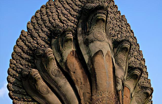 阿柏怪|《宝可梦》来源与生态阿柏怪和现实的眼镜蛇竟然还有不同