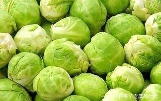 女性不想皱纹爬上脸,常吃3种食物,滋养卵巢,延缓衰老,显年轻