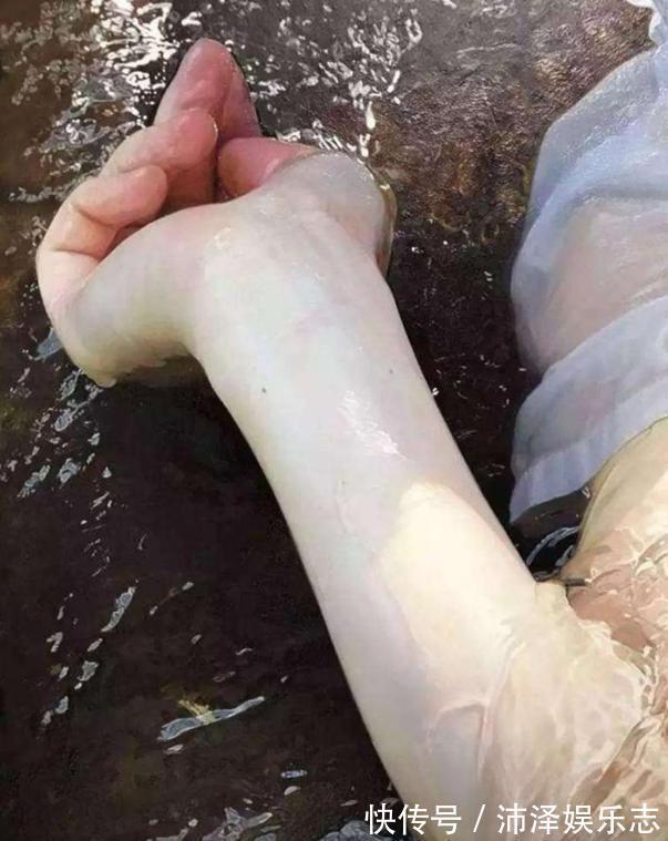 幅画作#日本“水中少女”图,因太逼真被争相收藏,网友忍不住想放大看