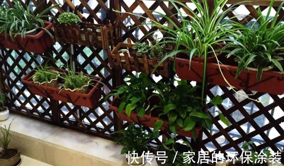 浇花|一把黄豆、一些果皮,囤上2个月,制成万能水肥,养花赚大了