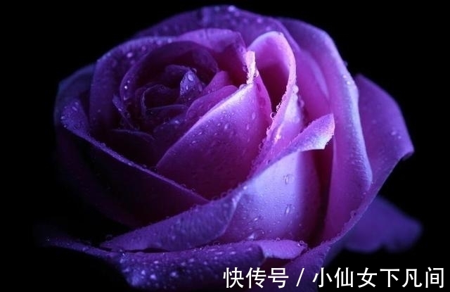 缘份|12月下旬，缘分与桃花爱意升温，愿余生共度朝夕的四大生肖！