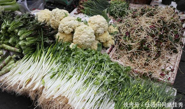 社会就|什么是社会主义市场经济什么是资本主义市场经济