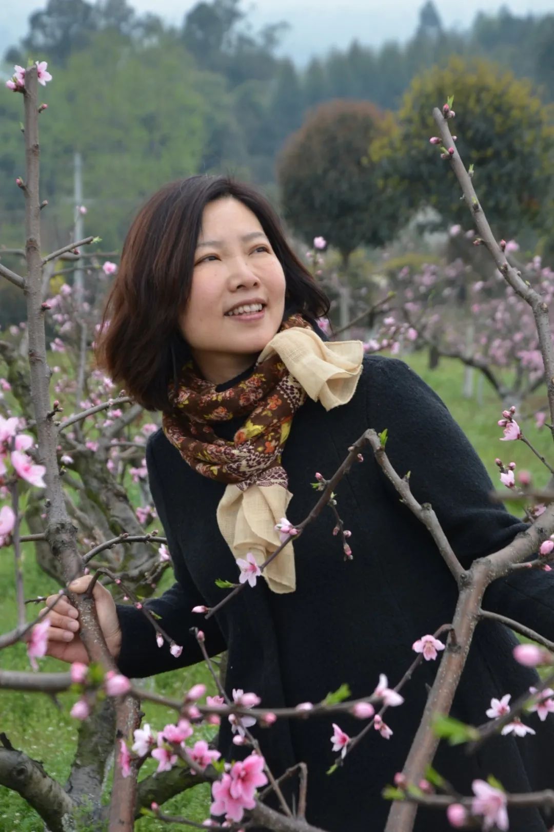 邀请展$"福虎迎新春“全国艺术名家邀请展——闫涛中国画作品赏析