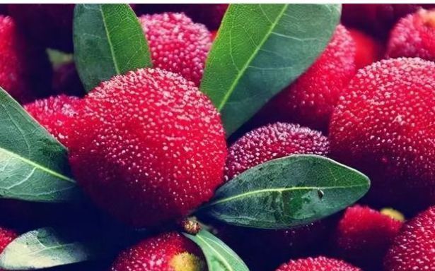 红心火龙果|春节已经过去了,大家多吃3种平安果,寓意幸福美满