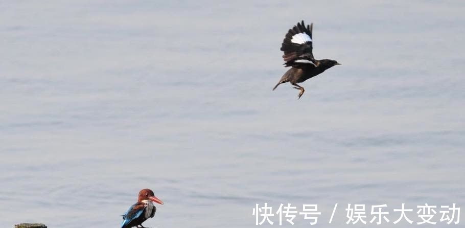 诗人@被隐藏的天赋,才是你看不见的命运