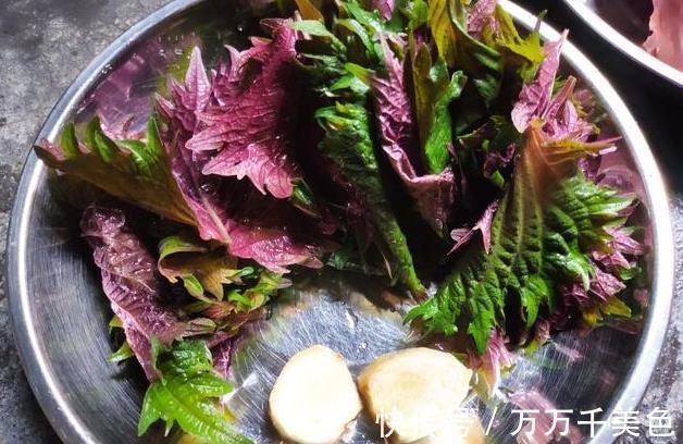 鸭子|给鸭去腥,不要用姜和酒!教你一个好方法,鸭肉鲜香十足,无腥味