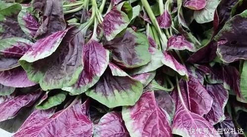 天络瓜|聪明人爱吃3类食物,养护血管,降压减脂,促进身体排毒