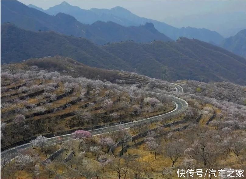 路上可以遇见大熊猫!自驾游这条冷门线路别错过